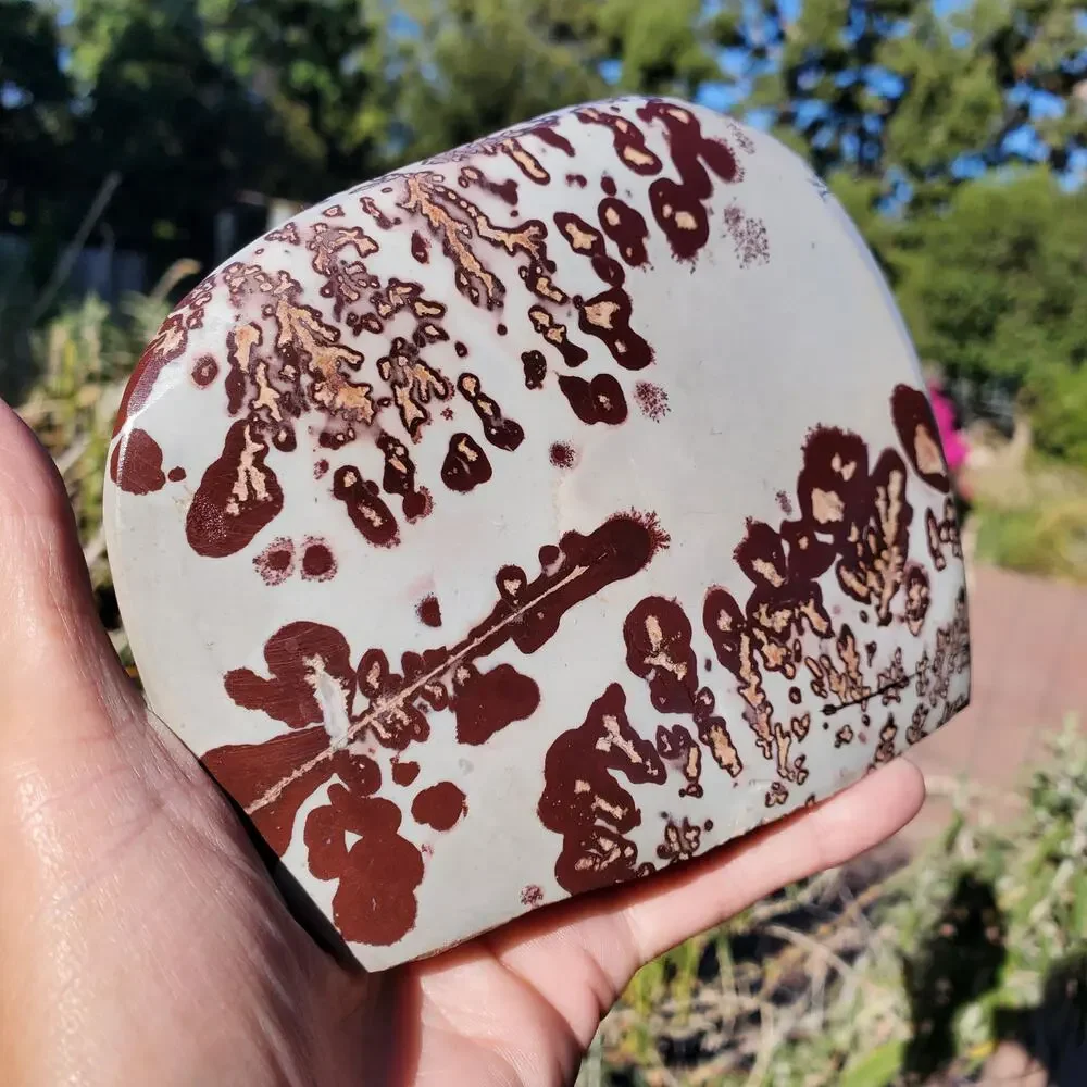 Picture Stone Jasper Dendritic Dendrite Display Freeform 706 Gram